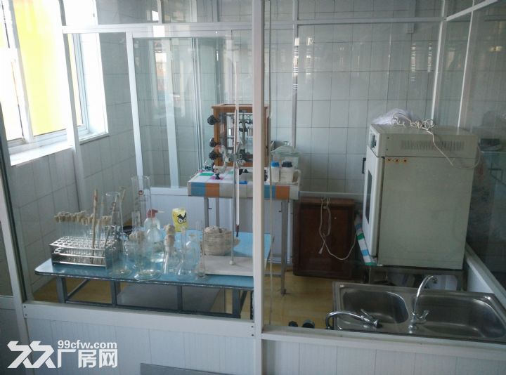 金州區杏樹屯大面積自帶天然泉眼廠房租售出兌(個人非中介)-圖(6)