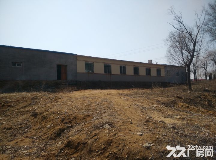 大連金州區(qū)杏樹街道汽水廠出租出售出兌(個(gè)人非中介)-圖(1)