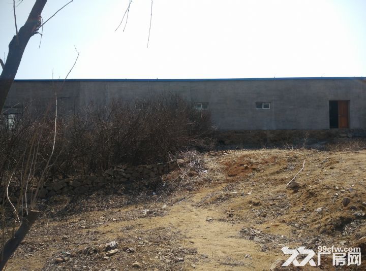 大連金州區(qū)杏樹街道汽水廠出租出售出兌(個(gè)人非中介)-圖(2)