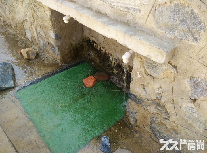 大連金州區(qū)杏樹街道汽水廠出租出售出兌(個(gè)人非中介)-圖(3)