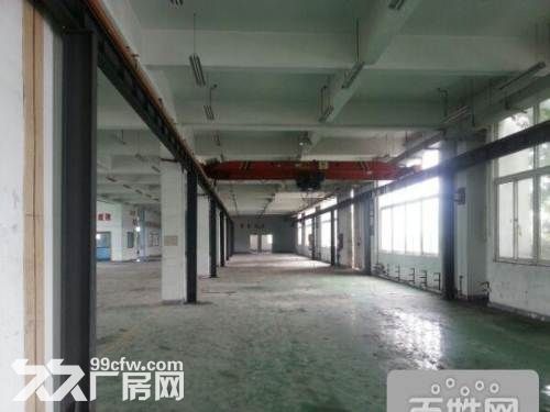 两江新区2020一季度G_两江新区老约翰书店