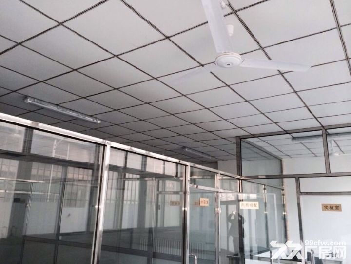 大連開發區優惠出租一樓食品廠房-圖(4)