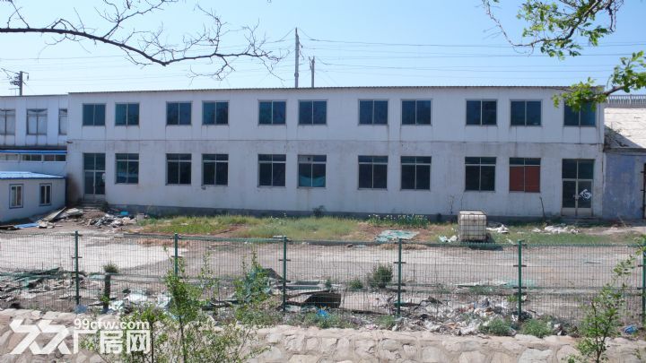 出租大連金州友誼街道龍王廟村金家屯２３１號廠房-圖（6）