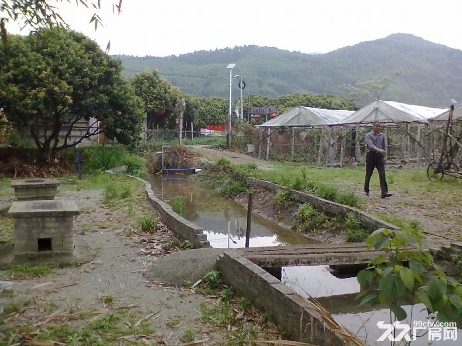 从化城郊城康约60亩葡萄园及农庄餐厅转让