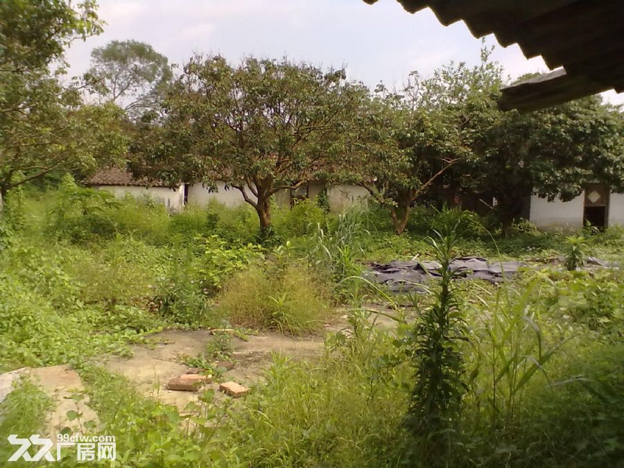 从化明珠工业园附近6亩平地果园鱼塘房屋永久转让