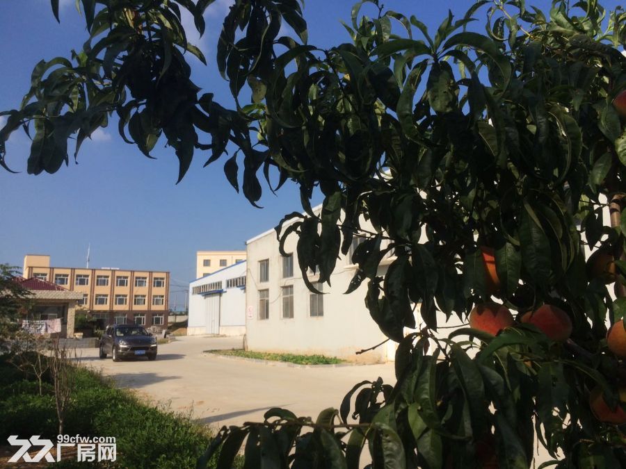 各種標準廠房出租或尋優質項目合作-圖(8)