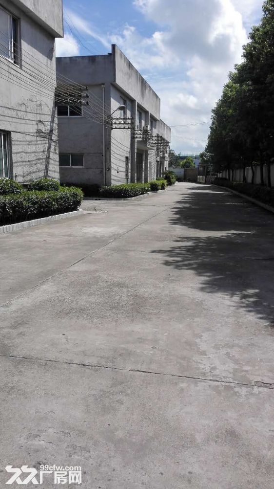 500平标准独栋厂房出租,办公宿舍齐全-图(2)