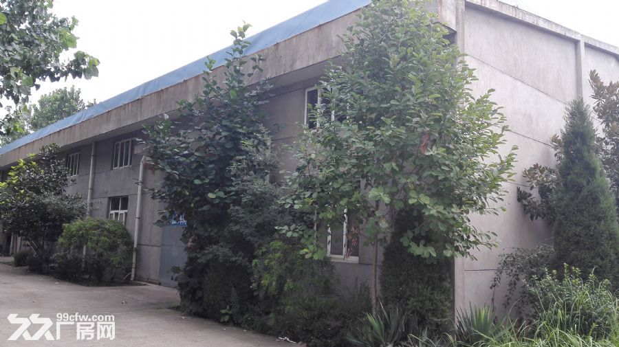 東海縣東開發區高質量廠房倉庫出租-圖（1）