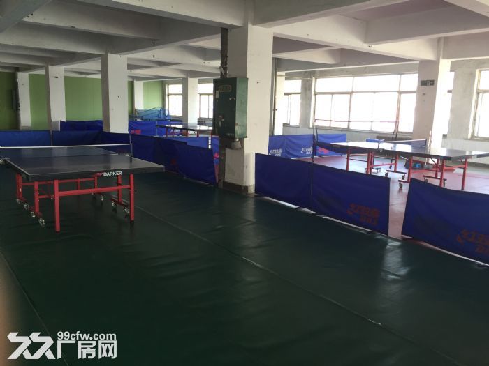 全新裝修主樓招租鋼材市場前院-圖（6）
