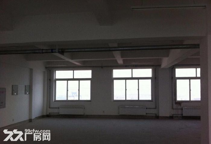 4樓 5樓廠房出租 1300㎡-圖(5)