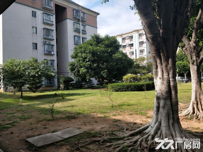 【8图】独门独院高新科技产业园招租-黄埔厂房