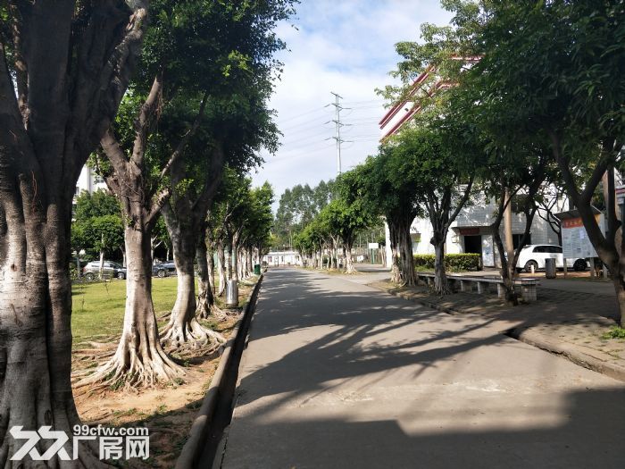 【8图】独门独院高新科技产业园招租-黄埔厂房