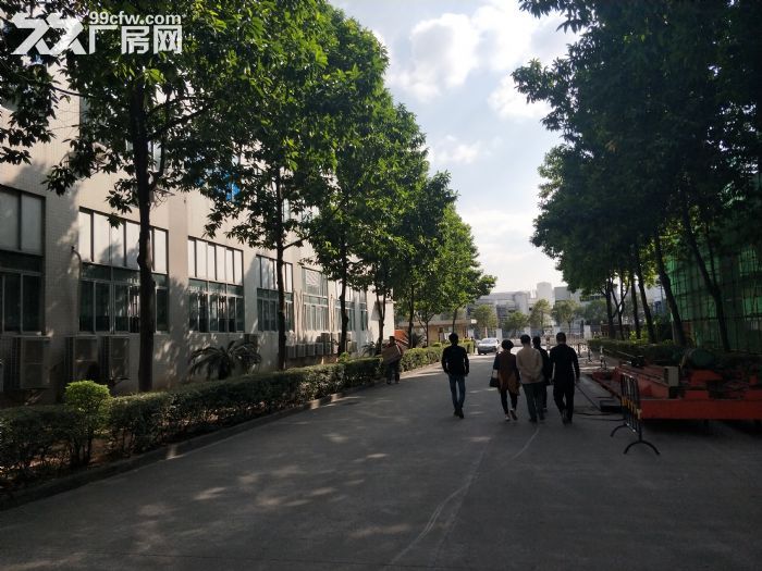 【8图】独门独院高新科技产业园招租-黄埔厂房