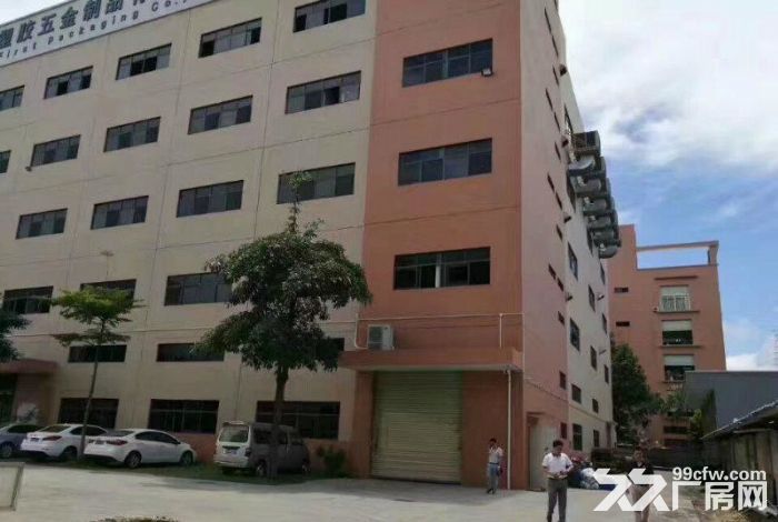 龙岗宝龙比亚迪附近全新厂房十万平米出租