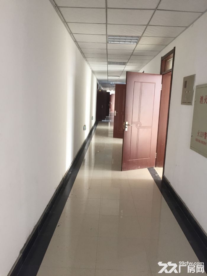開發區保稅區廠房出租-圖(2)