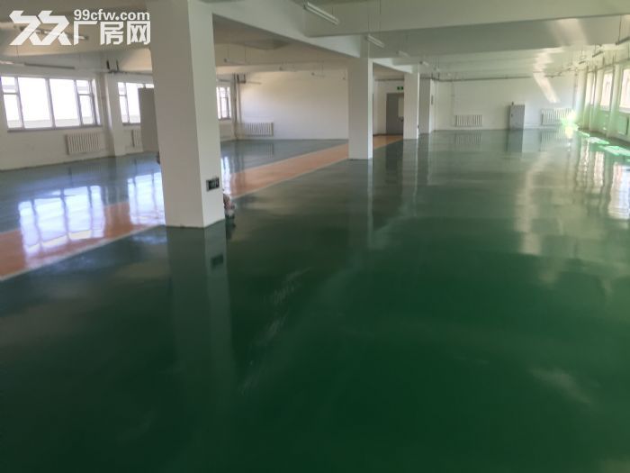 開發區小孤山附近廠房出租-圖（5）