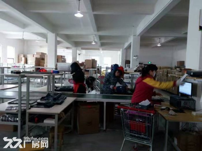 6000平方米出租倉庫-圖(4)