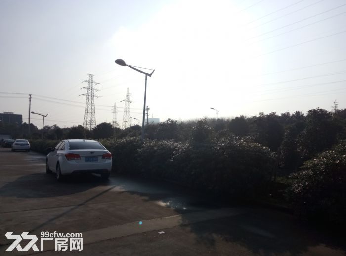 黃金地段?廠房出租?歡迎落戶-圖(5)