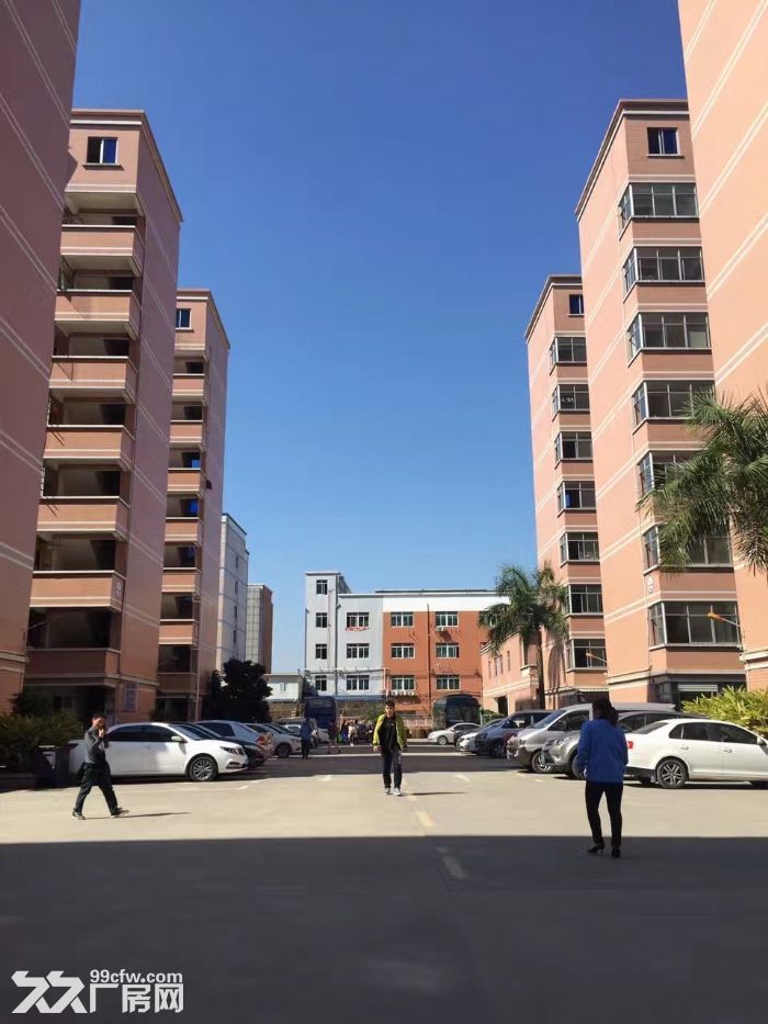丹竹头宇翔工业园厂房出租