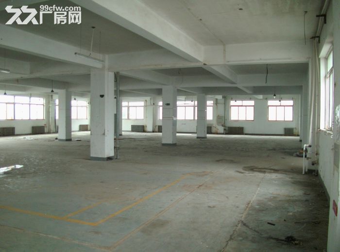 開發區保稅區廠房出租-圖(4)