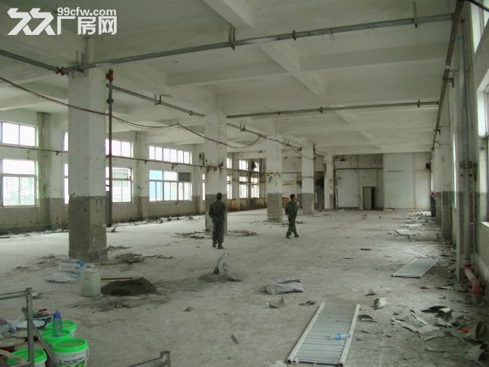 開發區保稅區廠房出租-圖(7)
