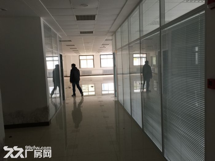 出租雙D港鋼結構廠房-圖（1）