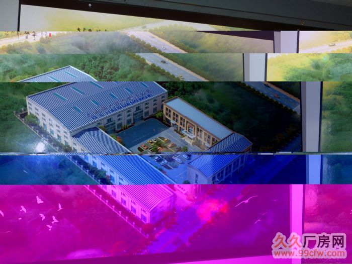 廠房整體出租或出售，價(jià)格可面談-圖（2）