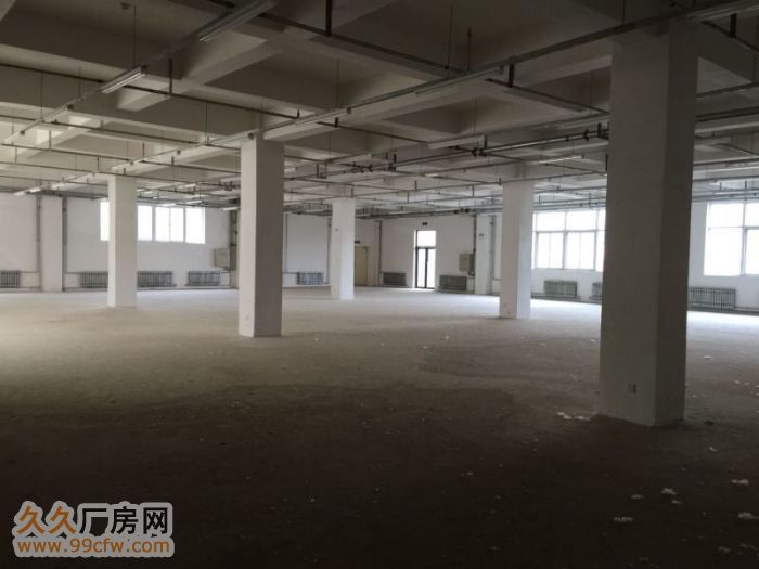 東北7街全新廠房出租,整棟租賃價格面議-圖(4)