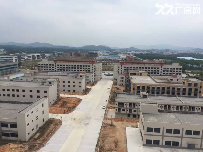 鹤山大型工业城10000方标准厂房招租(可独门)
