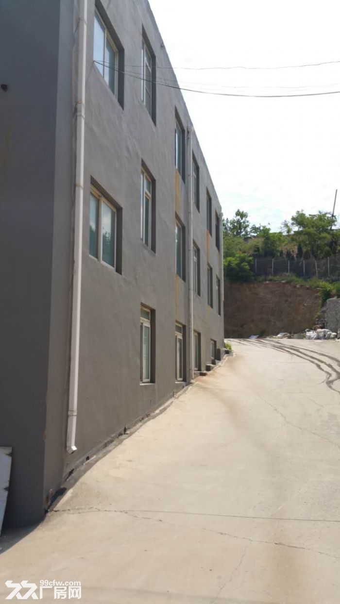 帶院工業廠房對外出租-圖（3）