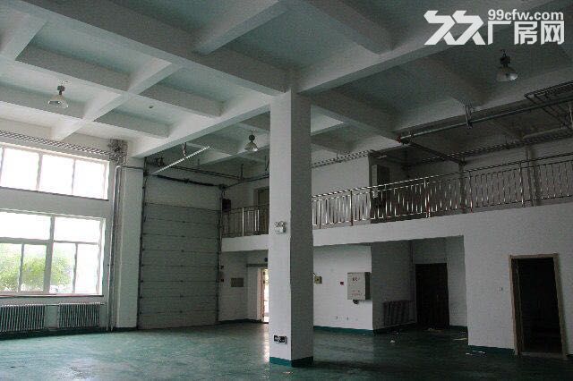 大連開發區臥龍工業園1期1500平廠房出售-圖(3)