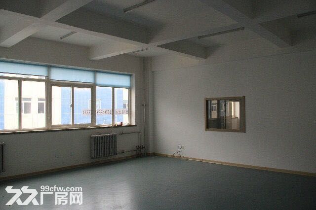大連開發區臥龍工業園1期1500平廠房出售-圖(4)
