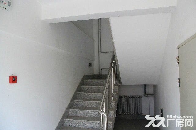 大連開發區臥龍工業園1期1500平廠房出售-圖(6)