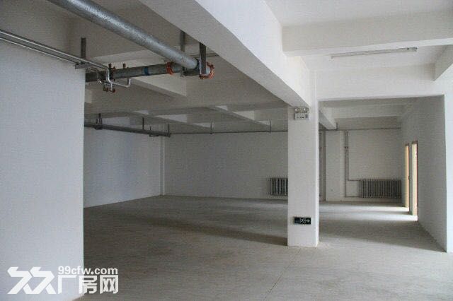 大連開發區臥龍工業園1期1500平廠房出售-圖(8)
