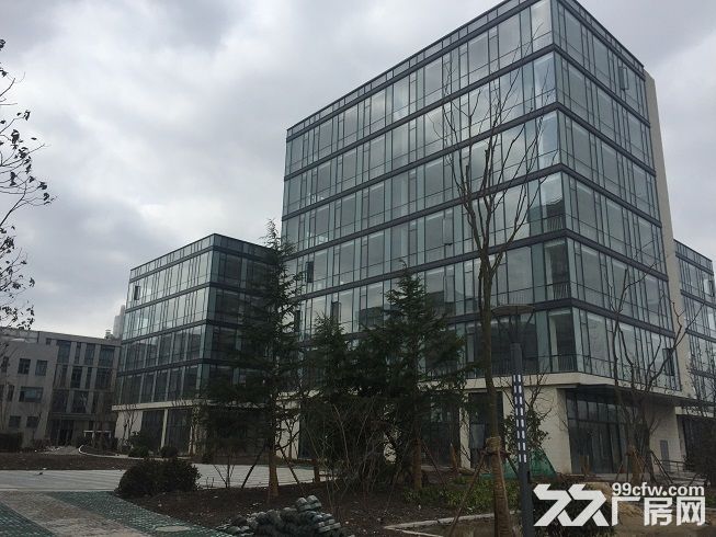 张江生物医药300平米至独栋2000平米诊断试剂