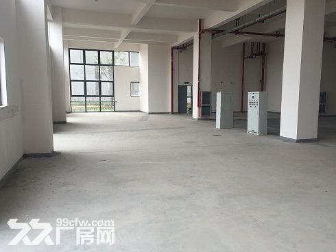 张江生物医药300平米至独栋2000平米诊断试剂