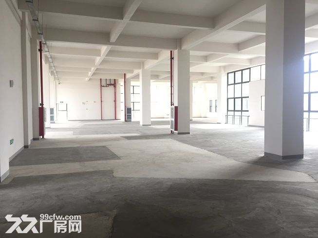 张江生物医药300平米至独栋2000平米诊断试剂