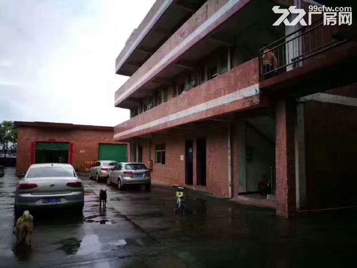 塘厦林村田心高速出口经典小独院3200平方68配电160kva