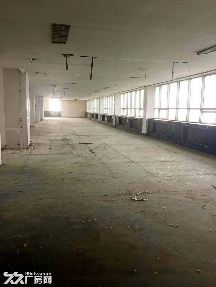 遼河西二路附近廠房廉價出租招商-圖(3)