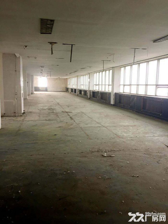 保稅區北門廠房出租招商-圖(2)