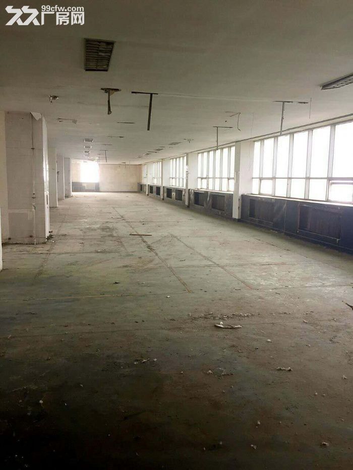 廉價廠房出租 交通便利-圖(2)