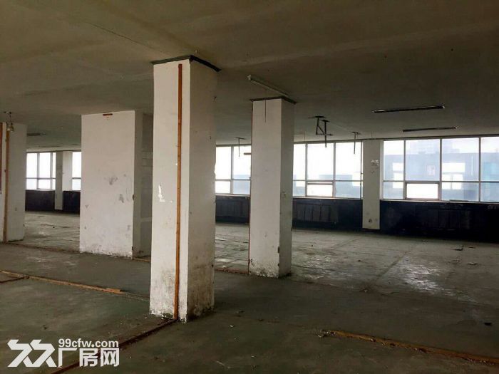 廉價廠房出租 交通便利-圖(3)