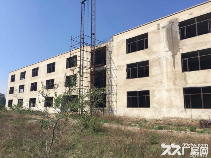 轉讓出租 炮臺社區長嶺村廠房 實際占地總面積5萬平方米23900平米有土地使用證-圖(1)