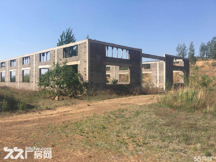 轉讓出租 炮臺社區長嶺村廠房 實際占地總面積5萬平方米23900平米有土地使用證-圖(5)