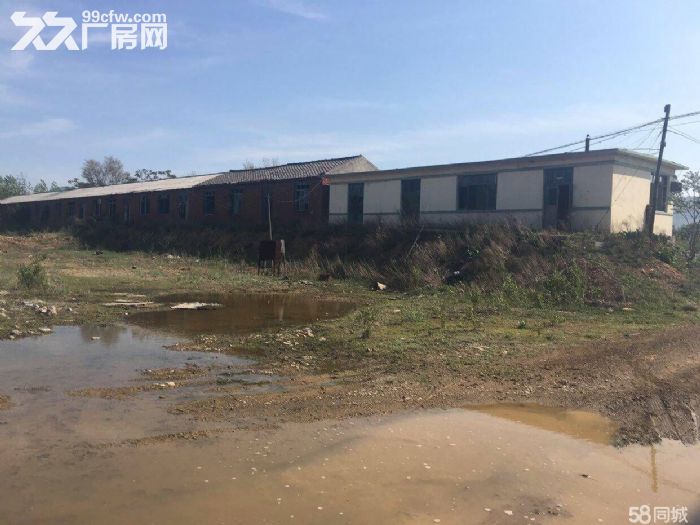 轉讓出租 炮臺社區長嶺村廠房 實際占地總面積5萬平方米23900平米有土地使用證-圖(6)