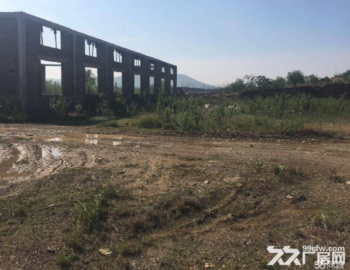 轉讓出租 炮臺社區長嶺村廠房 實際占地總面積5萬平方米23900平米有土地使用證-圖(7)