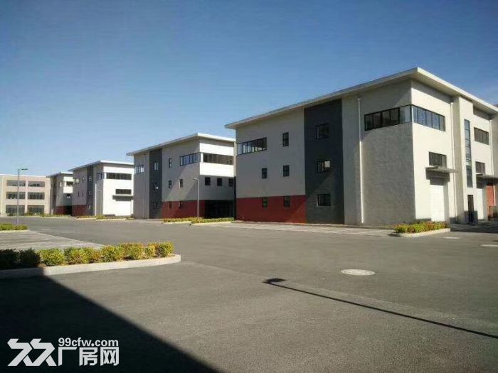 自貿(mào)區(qū)現(xiàn)有新廠房出租-圖(1)