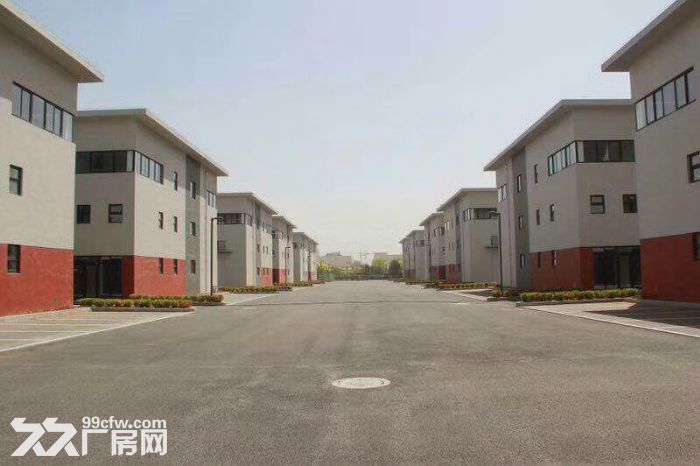 自貿(mào)區(qū)現(xiàn)有新廠房出租-圖(2)