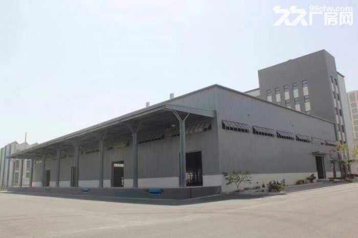自貿(mào)區(qū)現(xiàn)有新廠房出租-圖(3)
