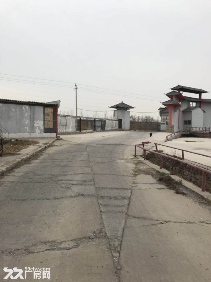唐山厂房出租网 唐山厂房 唐山芦台农场厂房 唐山芦台农场厂房出租